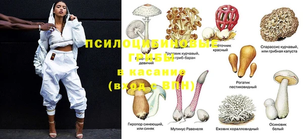 марки lsd Беломорск