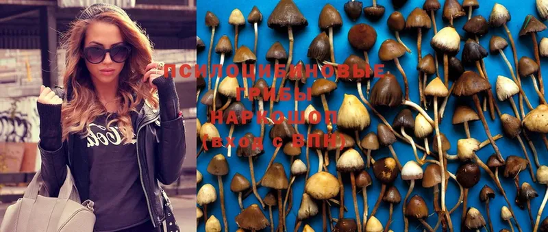 Галлюциногенные грибы MAGIC MUSHROOMS  Берёзовский 